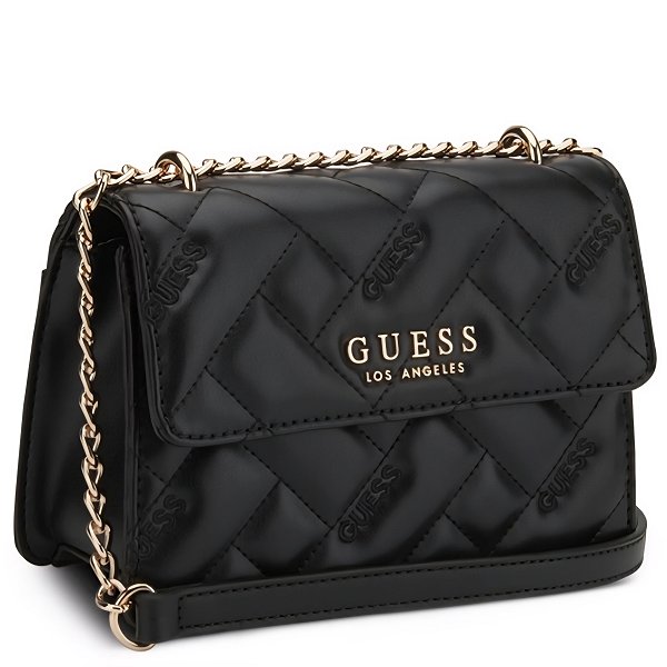 תיק  guess